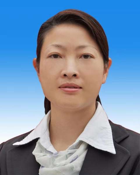 谭诤